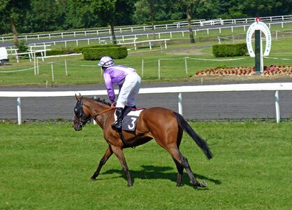 Jockeys castera-verduzan horse race