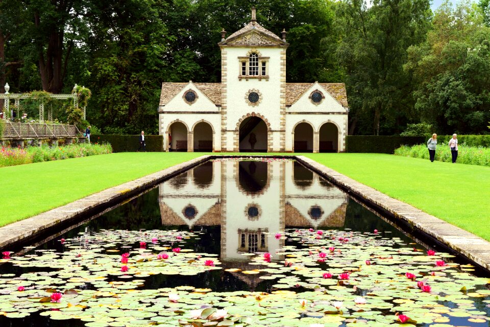 Water plant outdoor