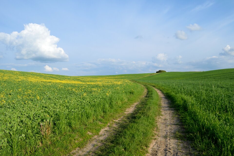 The way landscape nature
