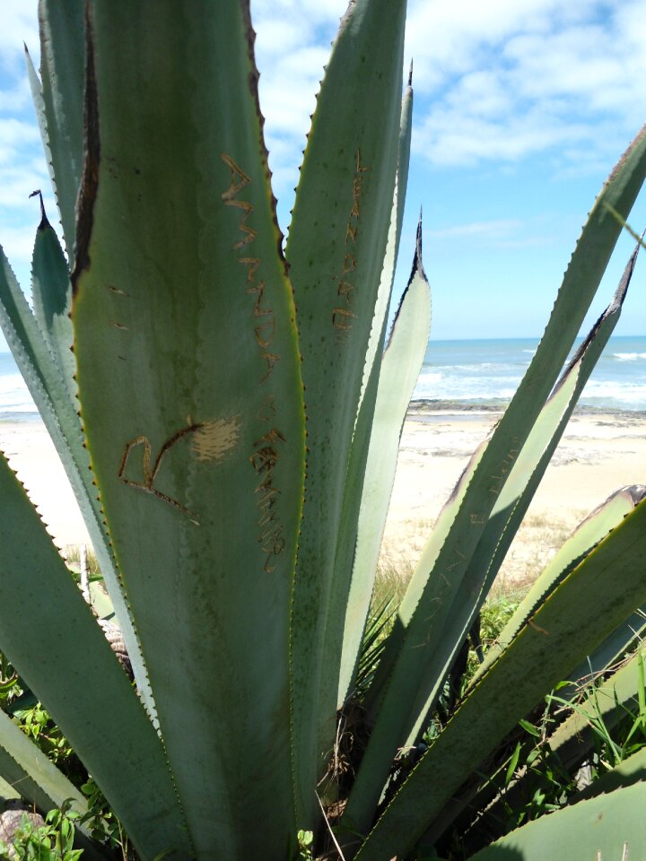 Beach beach towers rio grande do sul