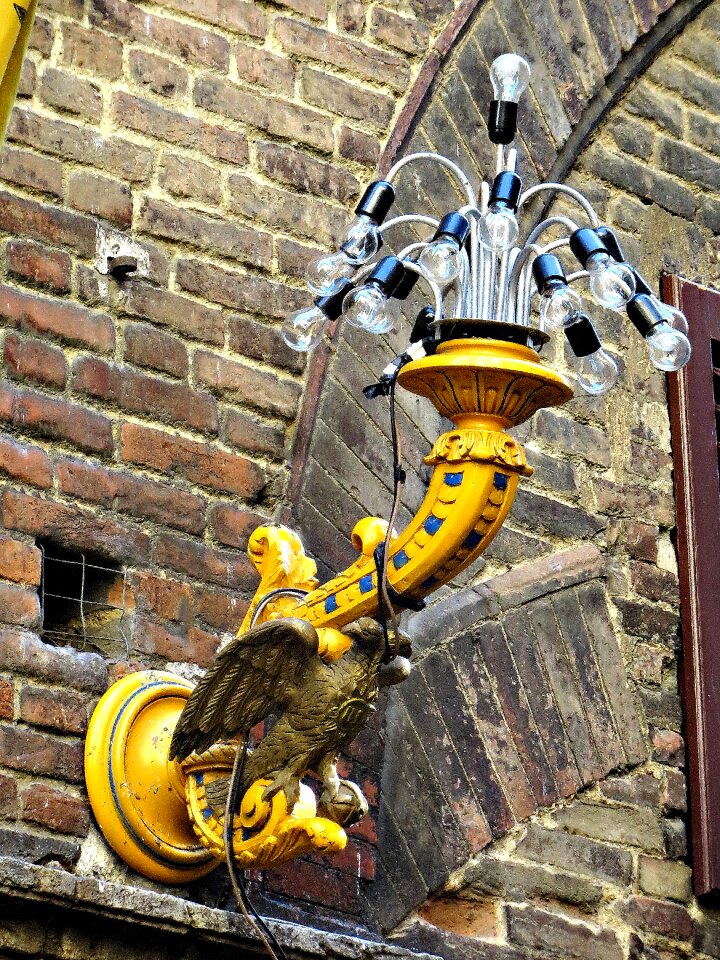 Tuscany italy yellow