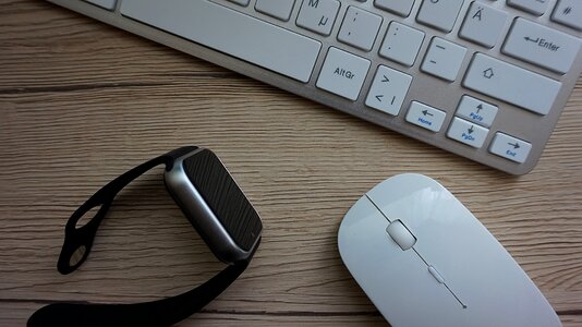 Mouse desk workplace