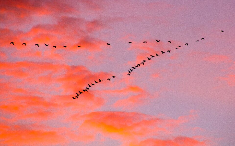 åmosen holbæk sunrise