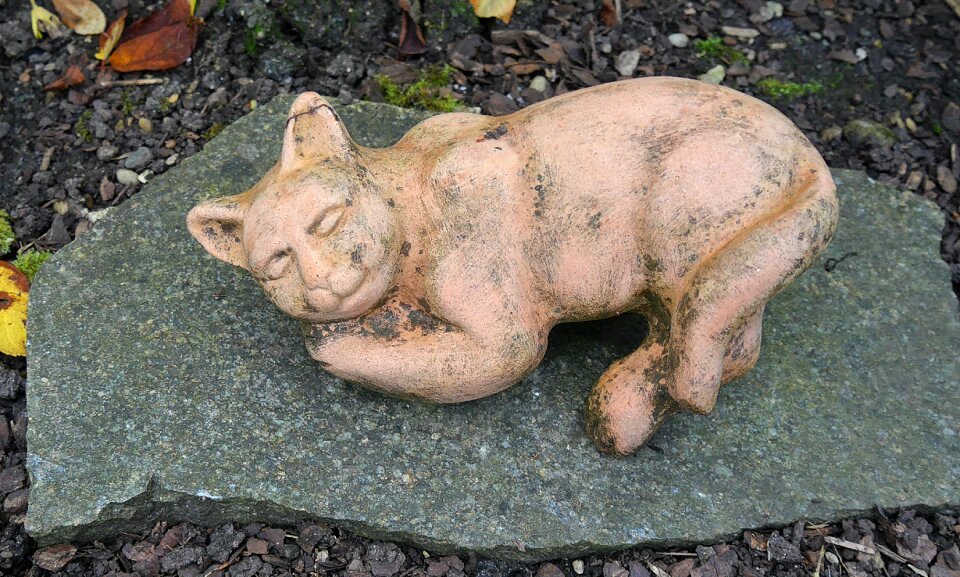 Tonkatze decoration garden decoration