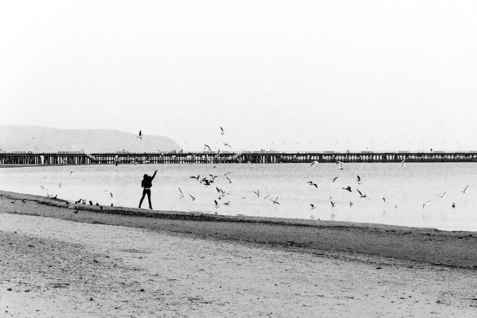 Feeding jumping pier