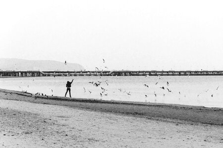 Feeding jumping pier