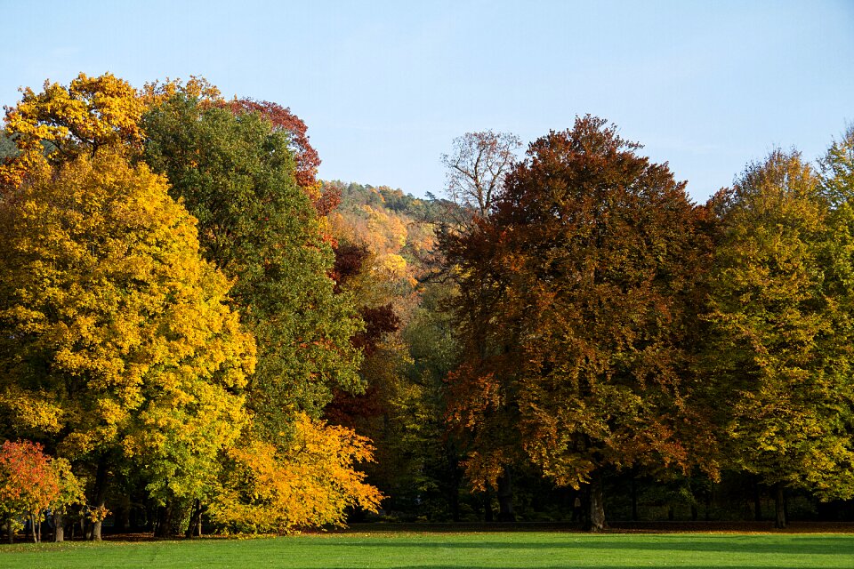 Autumn colours fall color autumn mood