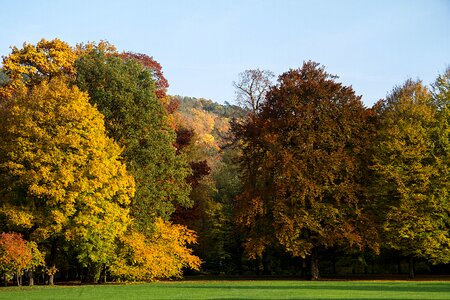 Autumn colours fall color autumn mood