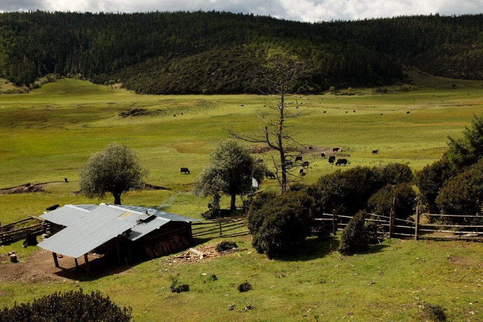 Prairie shangri-la's in yunnan province