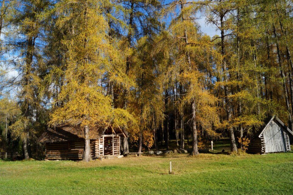 Mood autumn golden