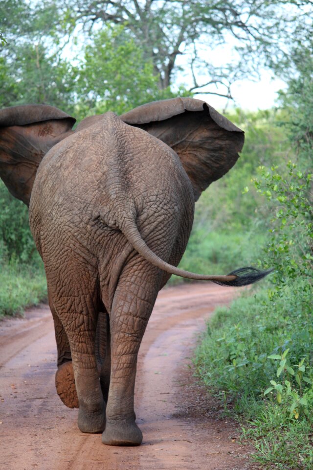 Wildlife park national