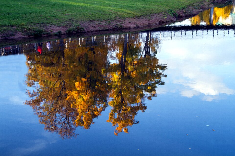 Autumn colours fall color autumn mood