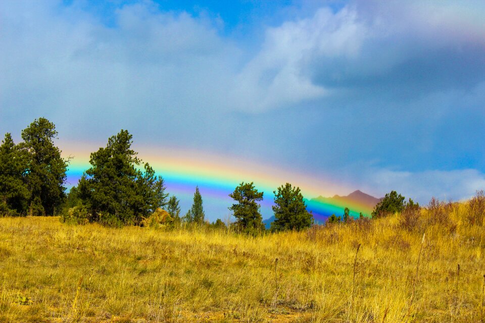 Vibrant autumn usa