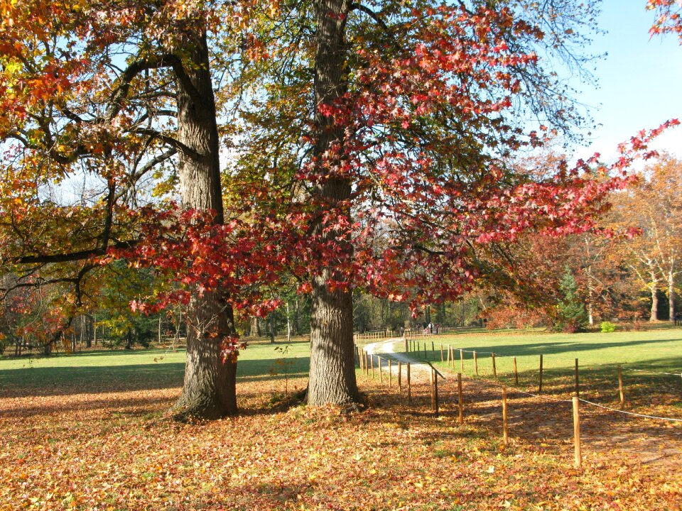 Autumn natural