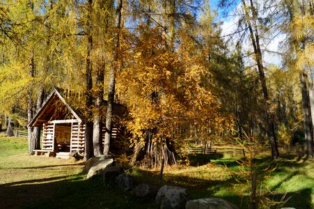 Mood autumn golden