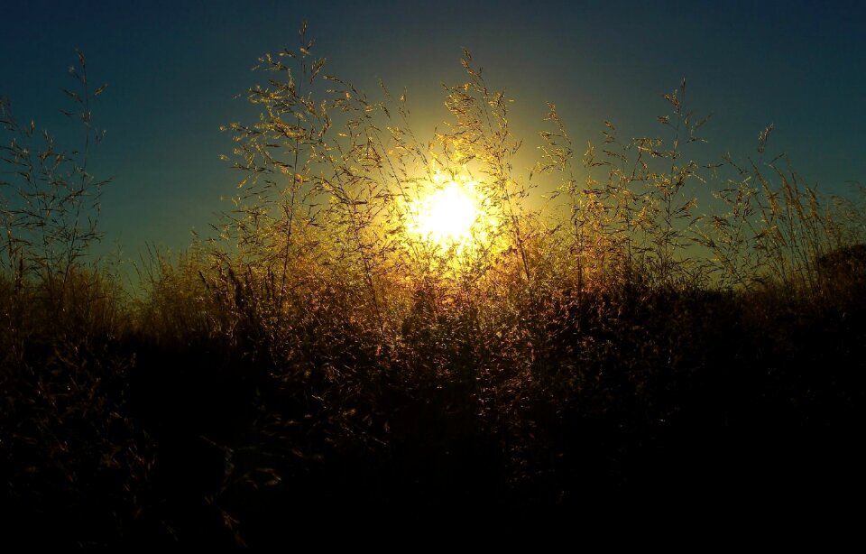 Landscape morning natural