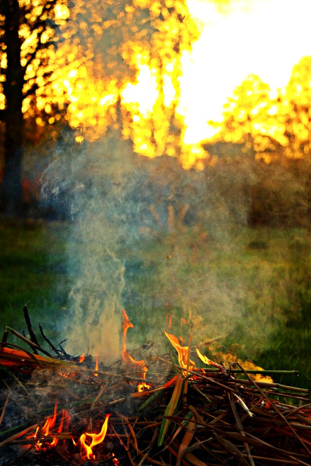 Sunset light burn