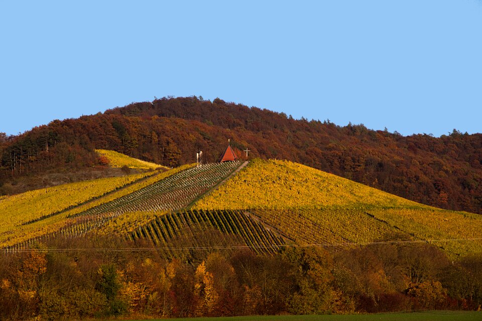 Autumn colours fall color autumn mood