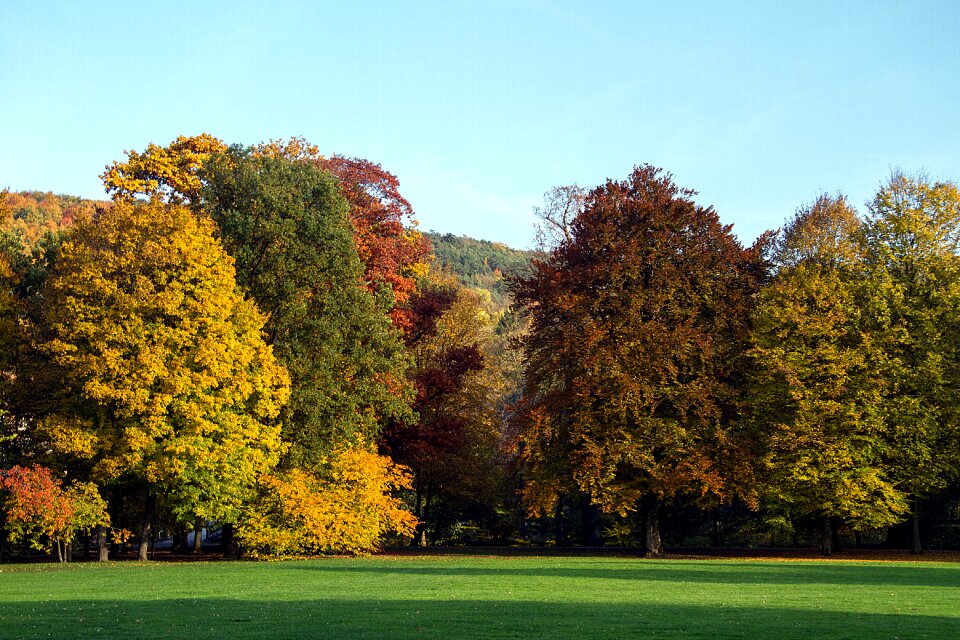 Autumn colours fall color autumn mood