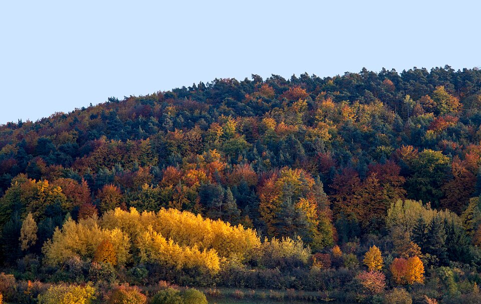 Autumn colours fall color autumn mood