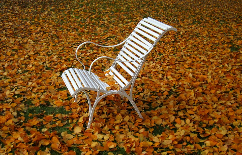 Autumn colours fall color autumn mood