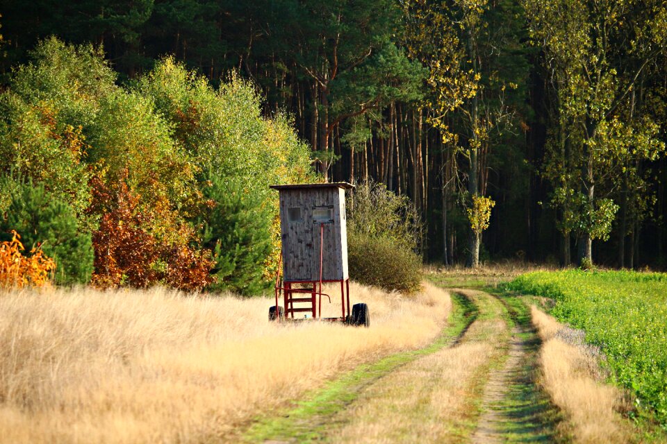 Fall foliage ansitz hunting was