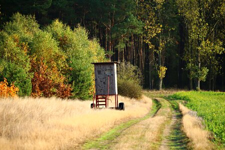 Fall foliage ansitz hunting was