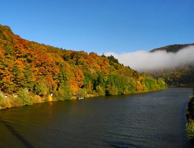 Nature water autumn
