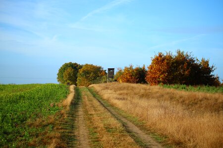 Field hunting seat nature