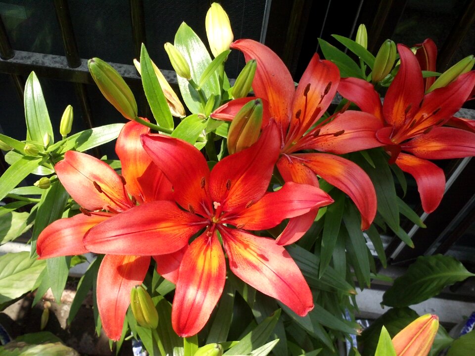 Spring colorful outdoor