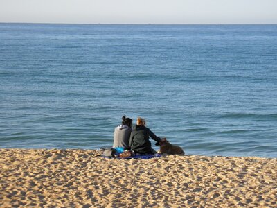 Dog portugal faro photo