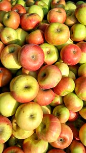 Fruits healthy