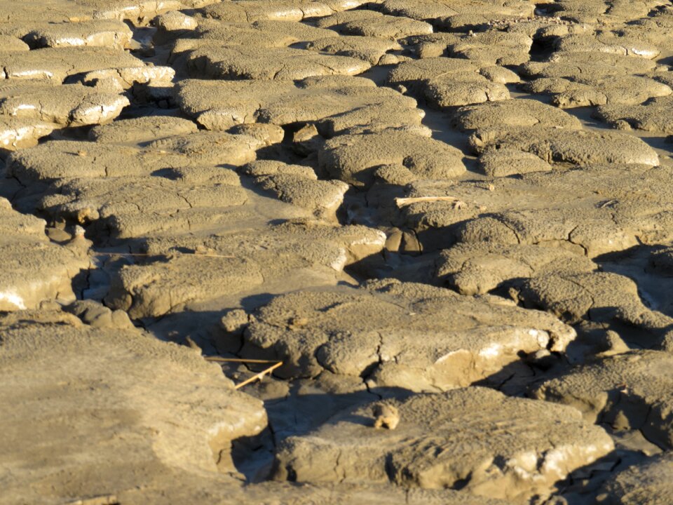 Outdoor muddy nature