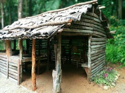 Nature wooden building