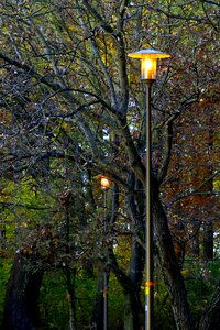 Foliage lamp evening