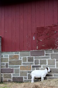 Barn country nature