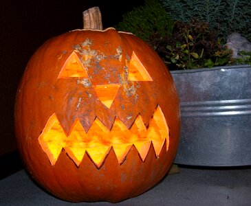 Halloween pumpkin faces