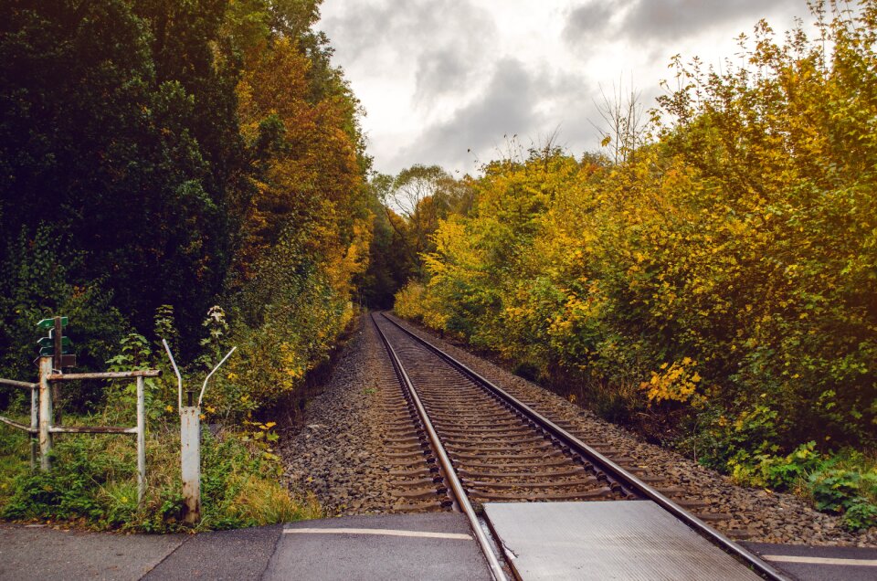 Autumn track railway tracks