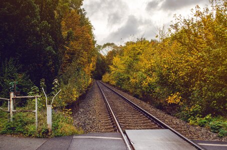 Autumn track railway tracks
