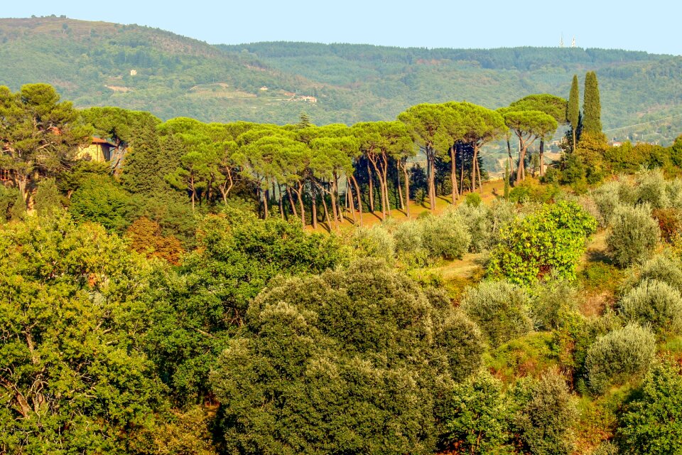 Landscape chianti toscana