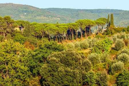 Landscape chianti toscana