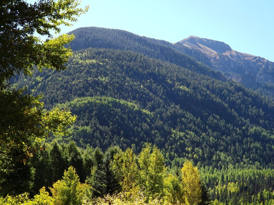 Autumn forest nature