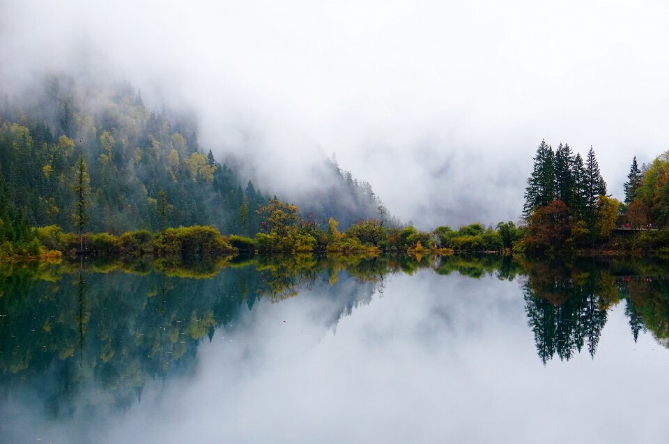 Lake early in the morning landscape