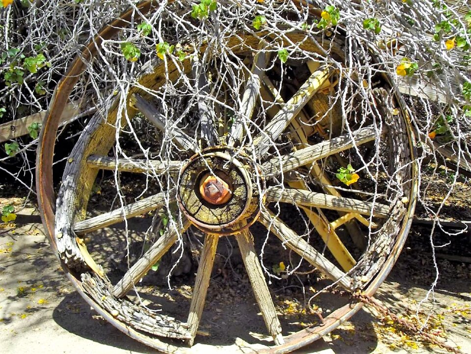 Transportation wooden antique