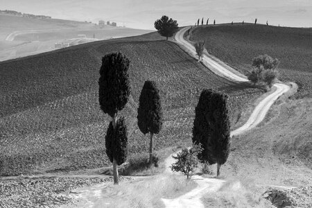 Toscana sw sw toscana