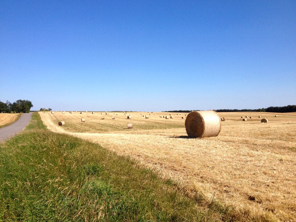Farming agricultural landscape