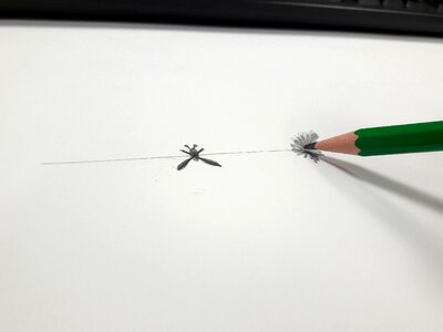 Drawing sketch office