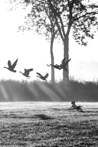 Hunt cold black and white