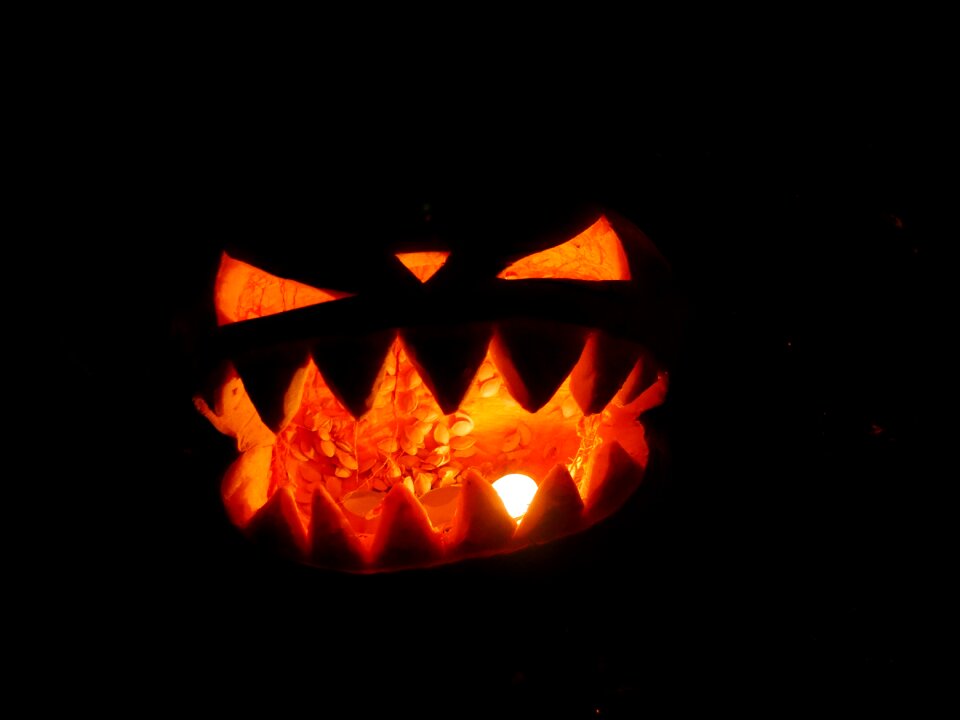 Halloween pumpkin faces
