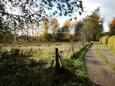 Trees october countryside photo